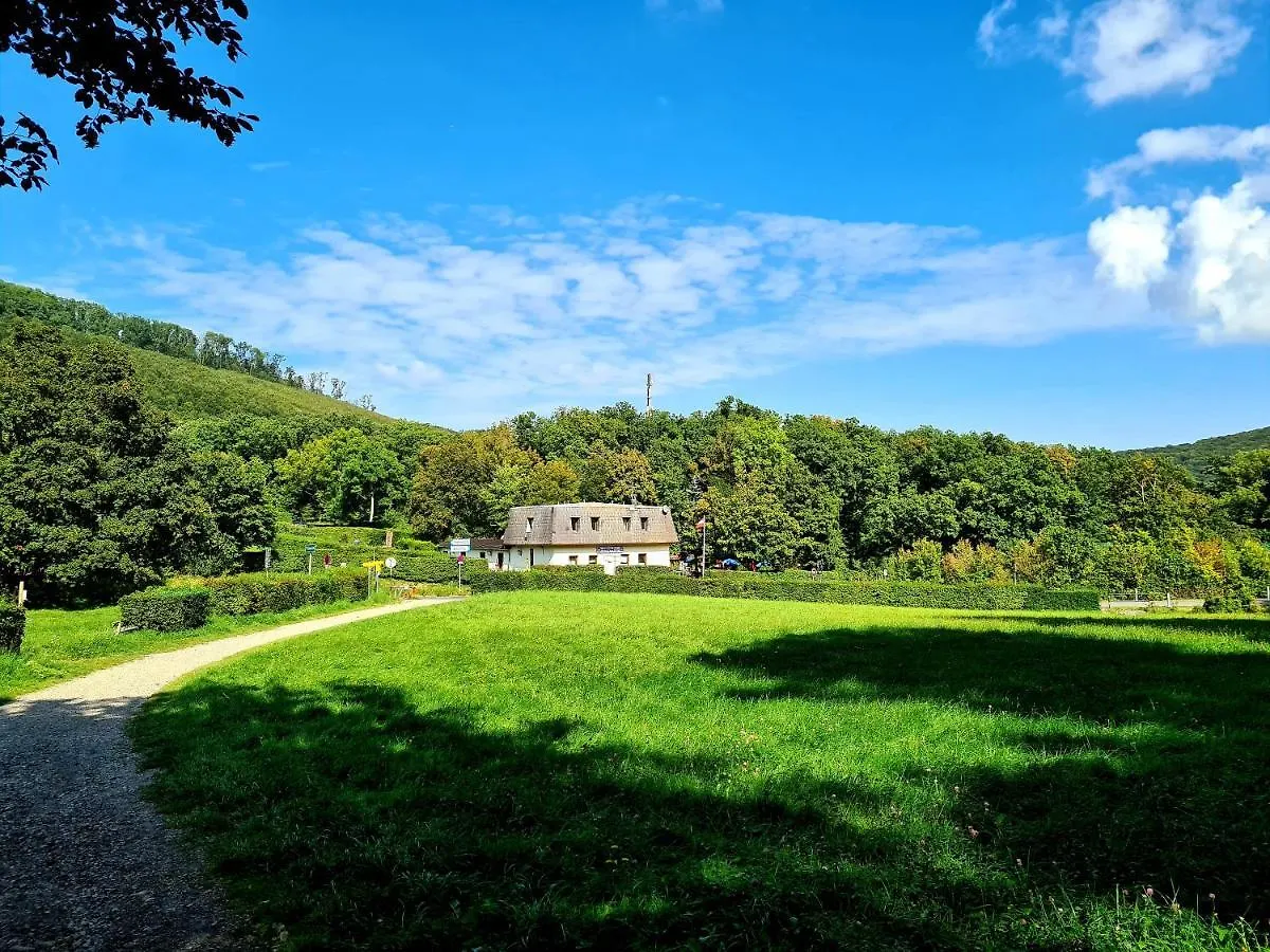 ****  Hotel Schild Viyana Avusturya